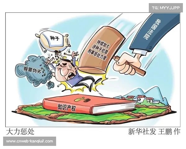 加强联赛知识产权保护 严打盗版商品流通